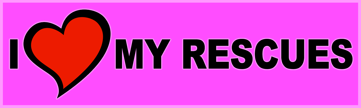 I Love My Rescues Custom Vinyl Sticker, Window Cling or Magnet in UV Laminate Coating
