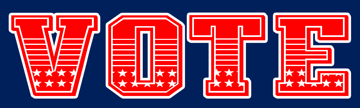  Vote  Vinyl Bumper Sticker  Window Cling or Bumper Sticker Magnet in UV Laminate Coating