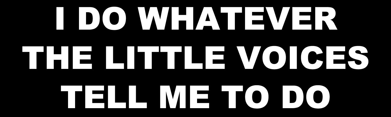  I Do Whatever The Little Voices Tell Me To Do 