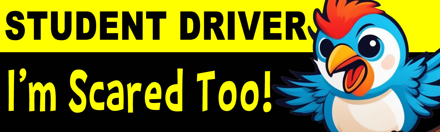 Student Driver I m Scared Too  Vinyl Bumper Sticker  Window Cling or Bumper Sticker Magnet in UV Laminate Coating