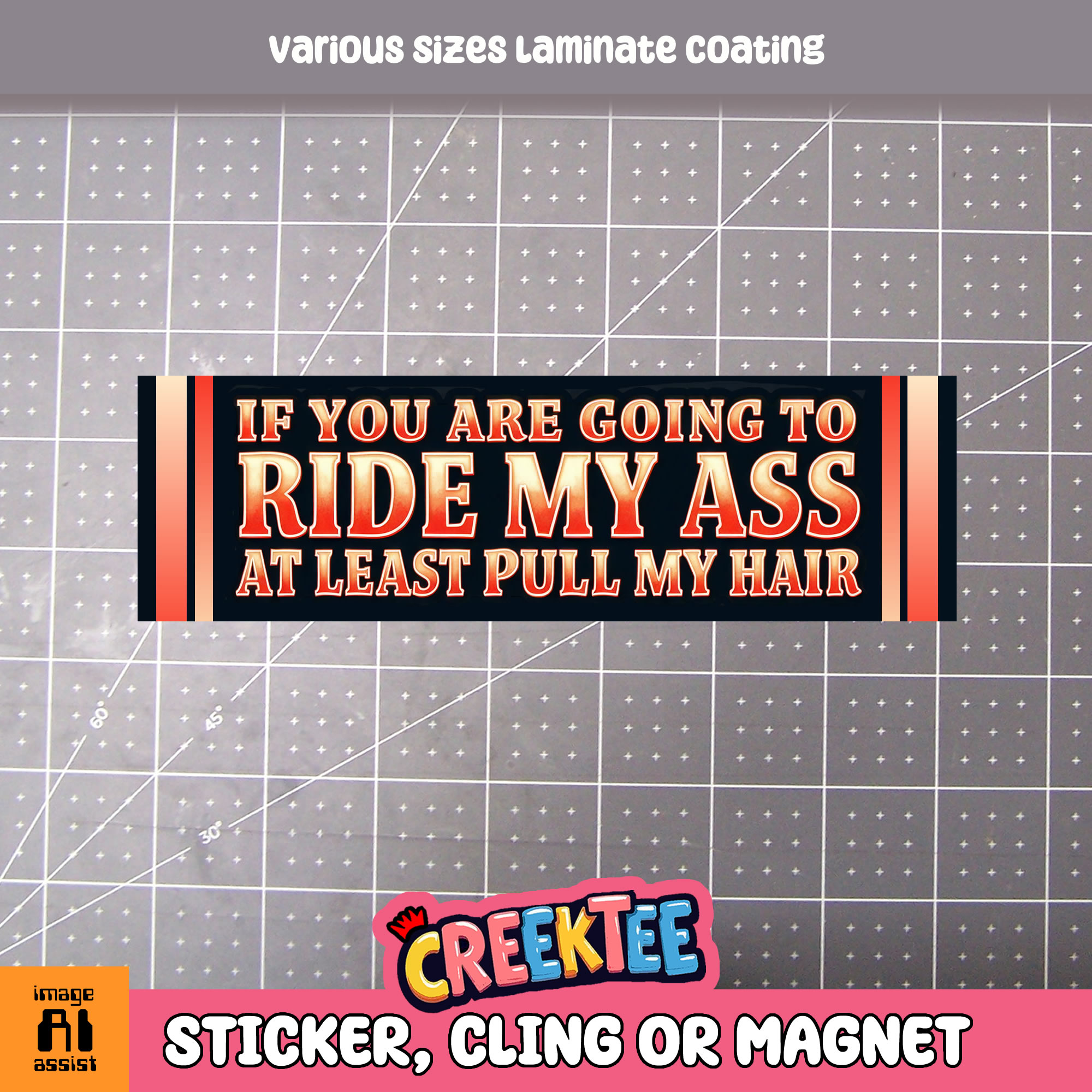 If You Are Going to Ride My Ass At Least Pull My Hair Vinyl Bumper Sticker  Window Cling or Magnet in UV Laminate Coating and Various Sizes