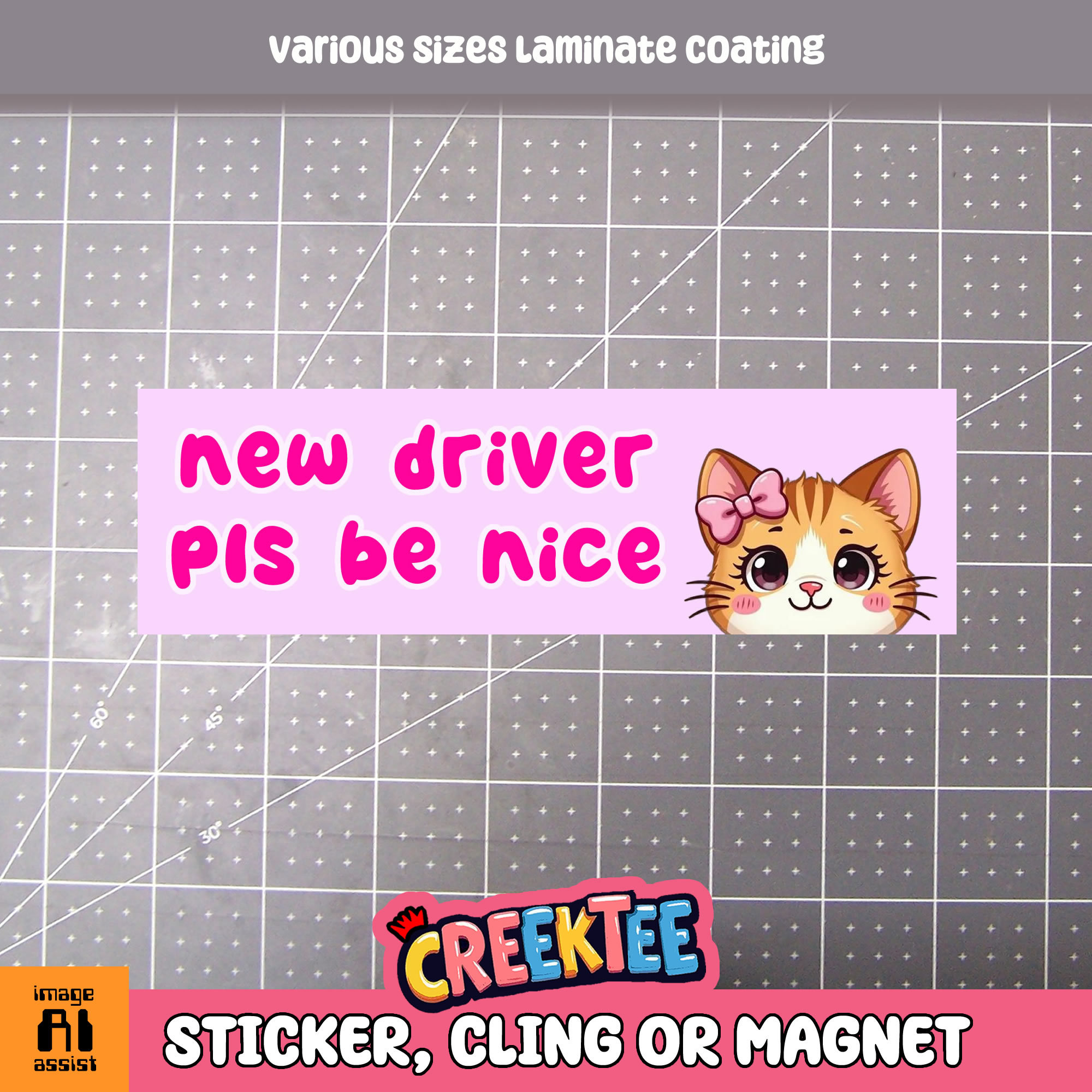 New Driver Pls Be Nice Vinyl Bumper Sticker  Window Cling or Magnet in UV Laminate Coating and Various Sizes