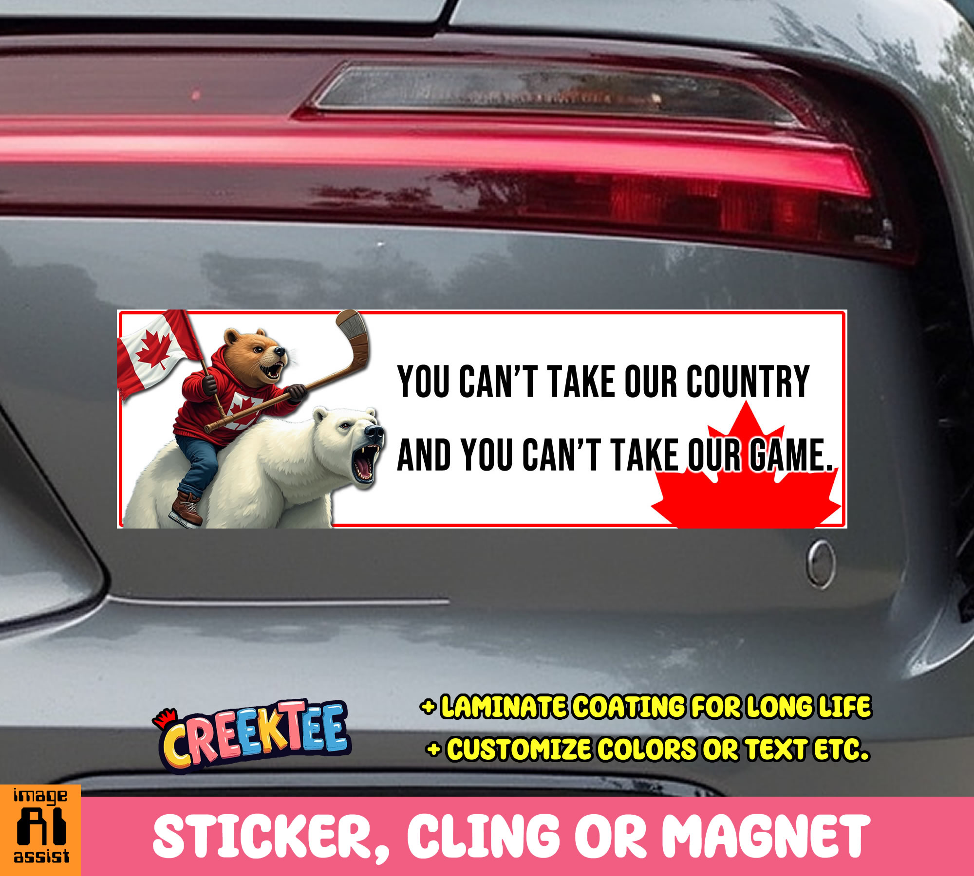 You Can t Take Our Country and You Can t Take Our Game Vinyl Bumper Sticker  Window Cling or Magnet in UV Laminate Coating and Various Sizes