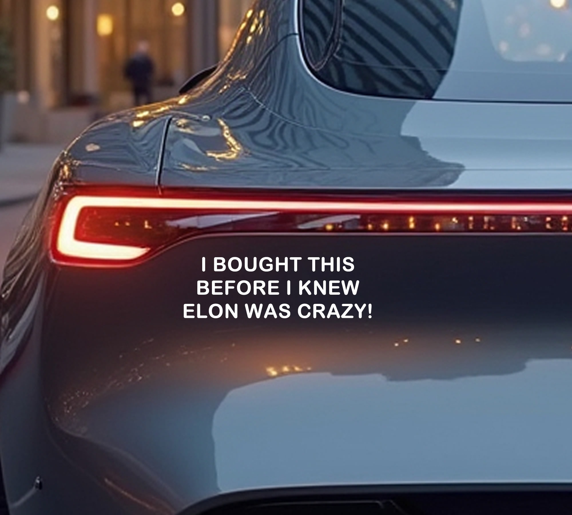 I Bought This Before I Knew Elon was Crazy Vinyl Decal In Various Colors  Chrome Colors and Various Sizes
